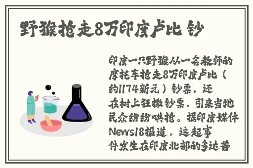 花季v3.0.2